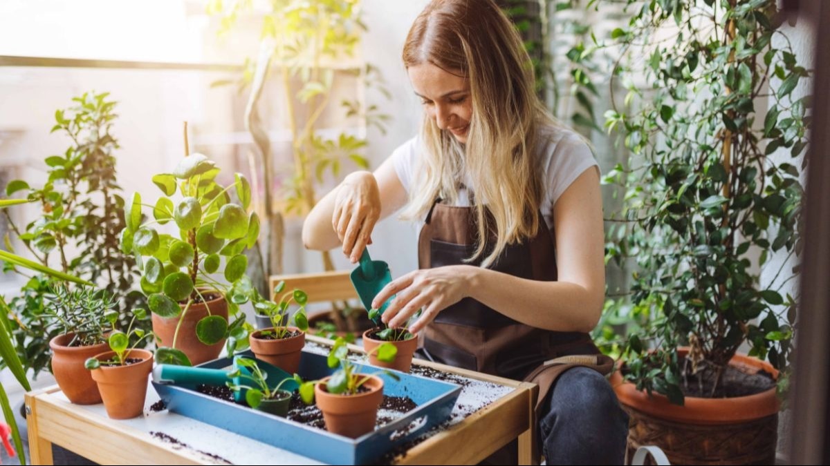 Jadikan berkebun sebagai hobi. Ini memiliki manfaat kesehatan yang mengejutkan