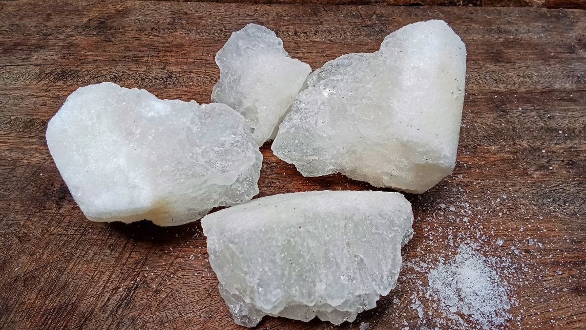 Apakah obsesi baru internet terhadap fitkari disetujui oleh dokter kulit?