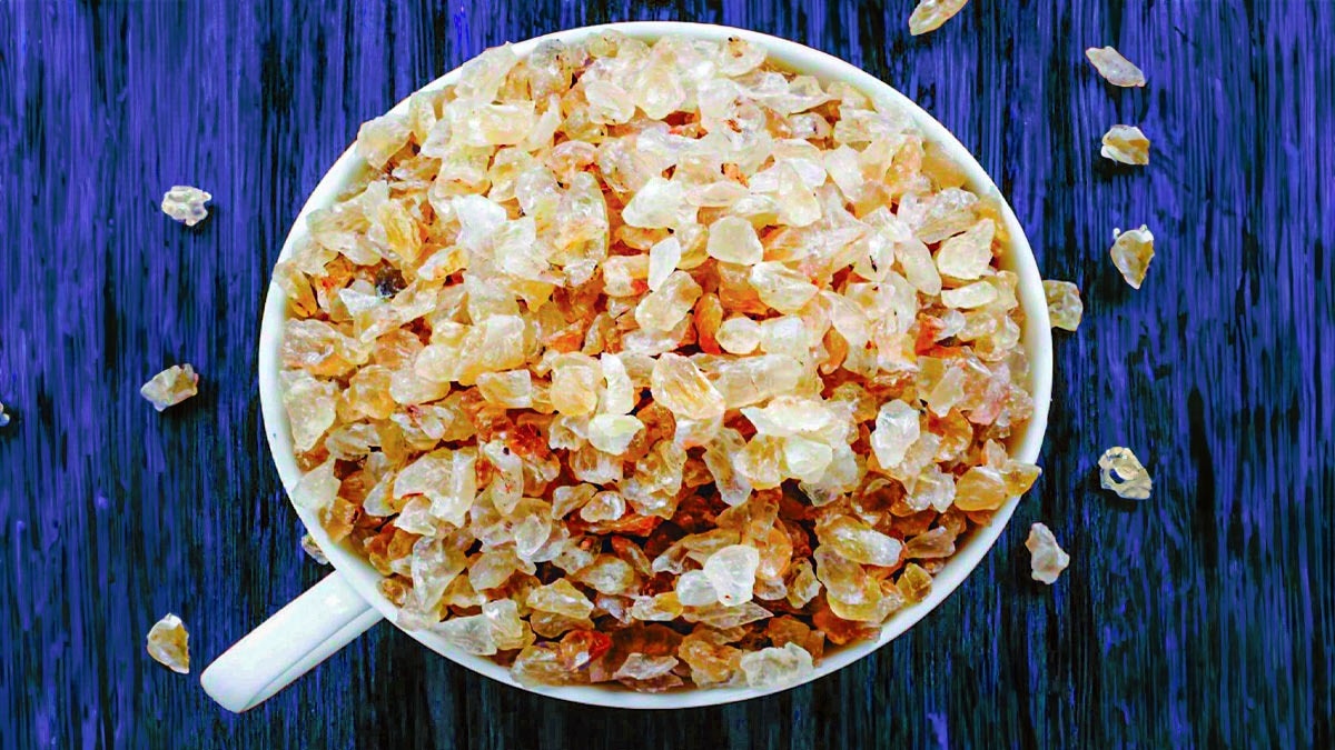 Instagram terobsesi dengan gond katira, permen karet ayurveda yang sudah dikenal India sejak lama