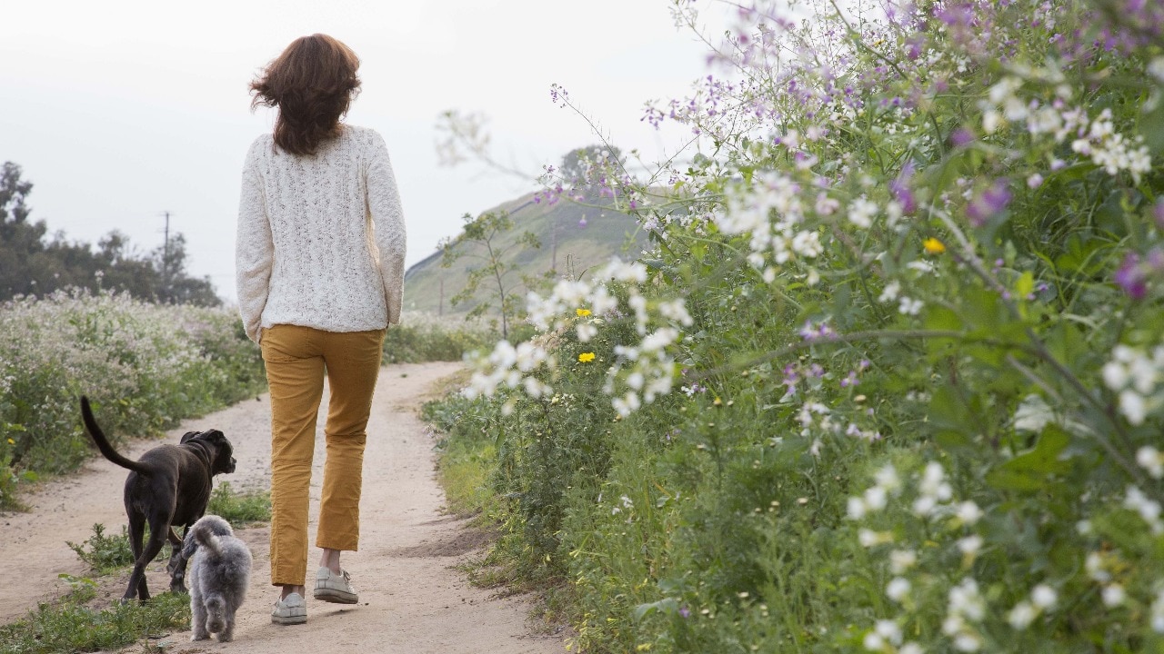 Jalan-jalan jika Anda sedang tidak ingin berolahraga, itu baik untuk kesehatan Anda
