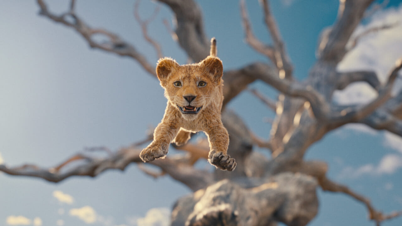 "Mufasa", prekuel Lion King di bioskop: gambar pertama (luar biasa).