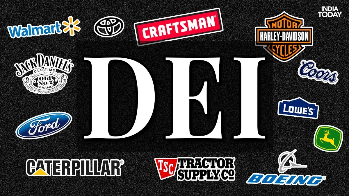Walmart , Toyota, Ford and other US companies have rolled back DEI programs after right-wing backlash.