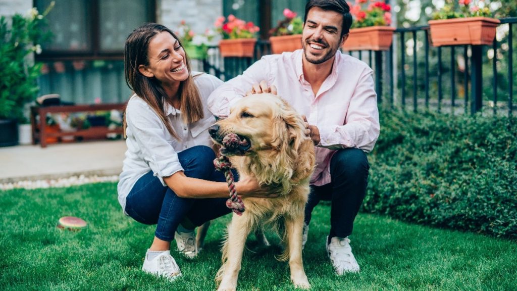 Apakah mengejar 'energi golden retriever' pada pasangan berlebihan?