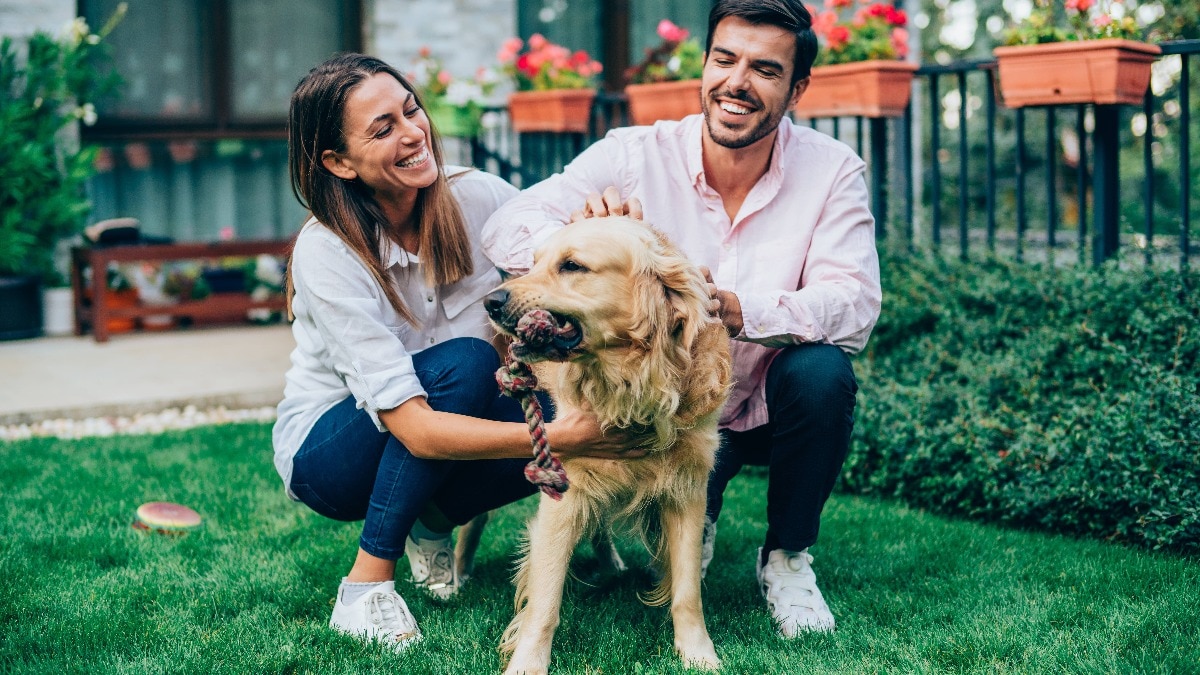 Apakah mengejar 'energi golden retriever' pada pasangan berlebihan?