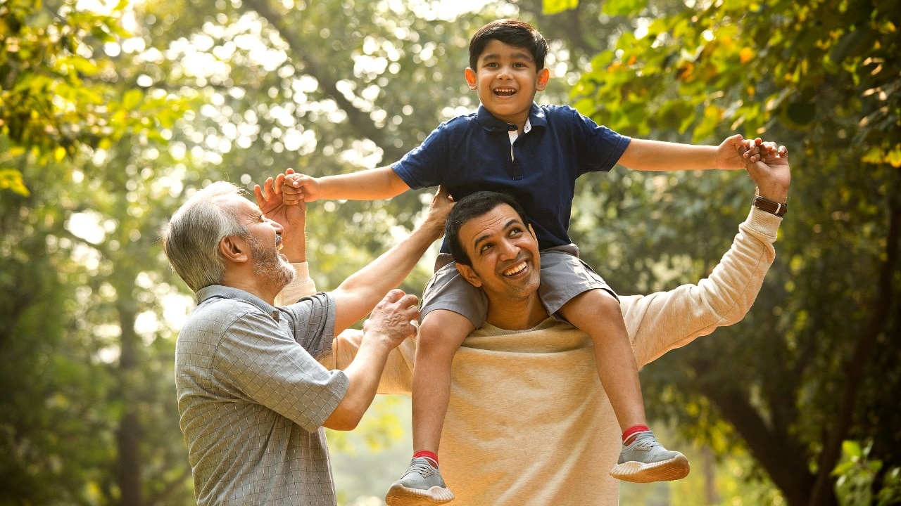 india sandwich generation