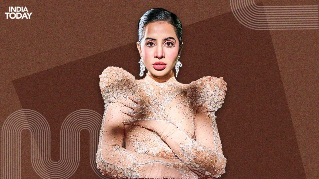 Uorfi Javed shares video of dissolving her lip fille