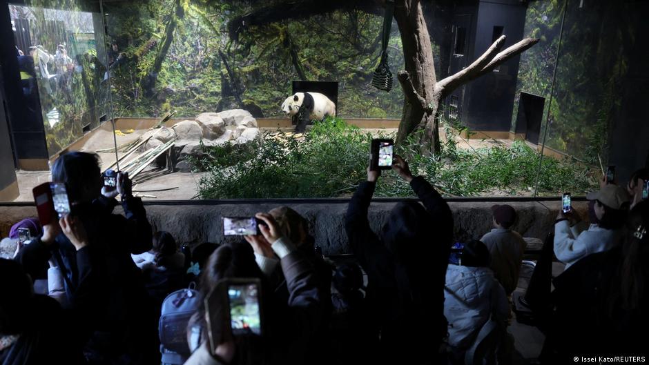 Bagaimana Tiongkok mempengaruhi kampanye pemilu di Jepang