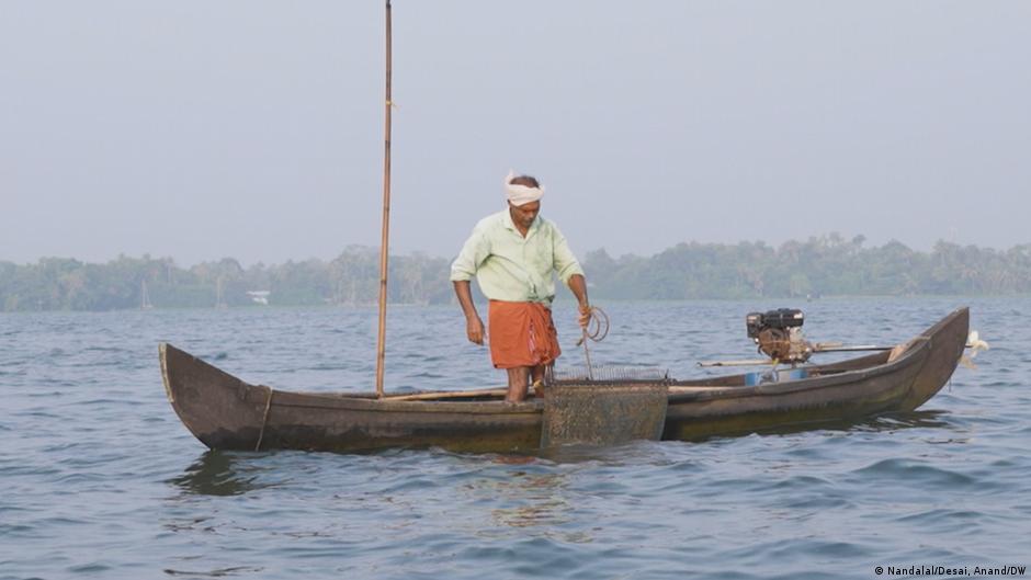 India: Bagaimana penduduk desa menyelamatkan ekosistem di Kerala