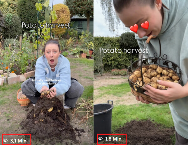 Video viral, dengan lebih dari jutaan penayangan, tentang Nina sang ibu tanaman. Foto dari Instagram-2