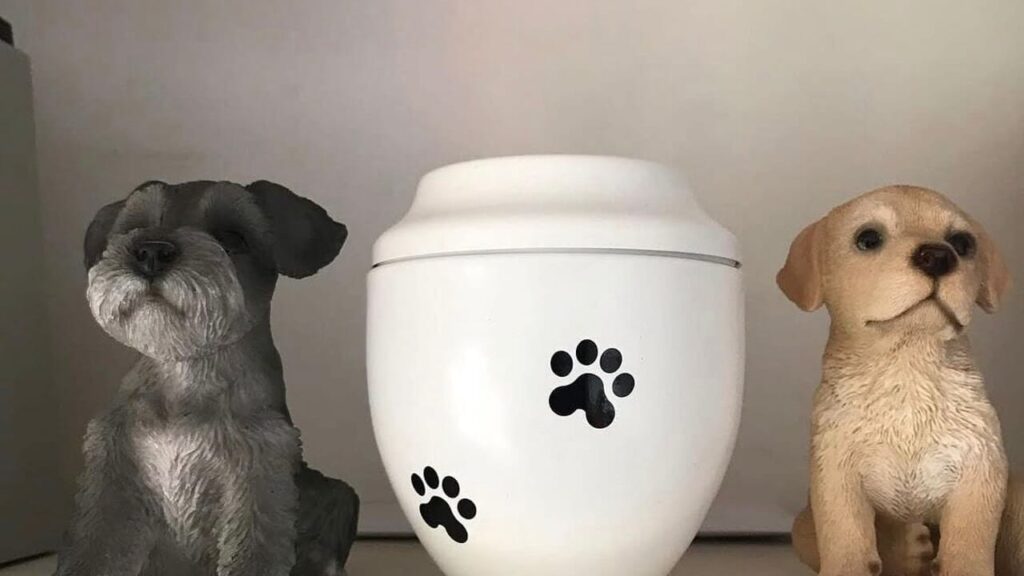 Berikan pemakaman pada anjing dan simpan guci berisi abunya di dalam rumah