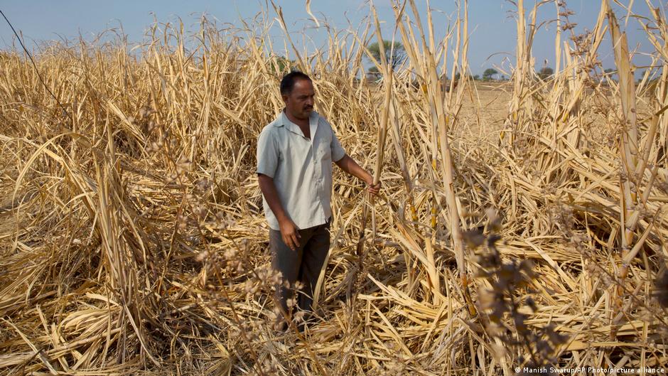 El Niño: India bersiap menghadapi kekeringan