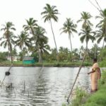Kerala: Saat air pasang menjadi bahaya