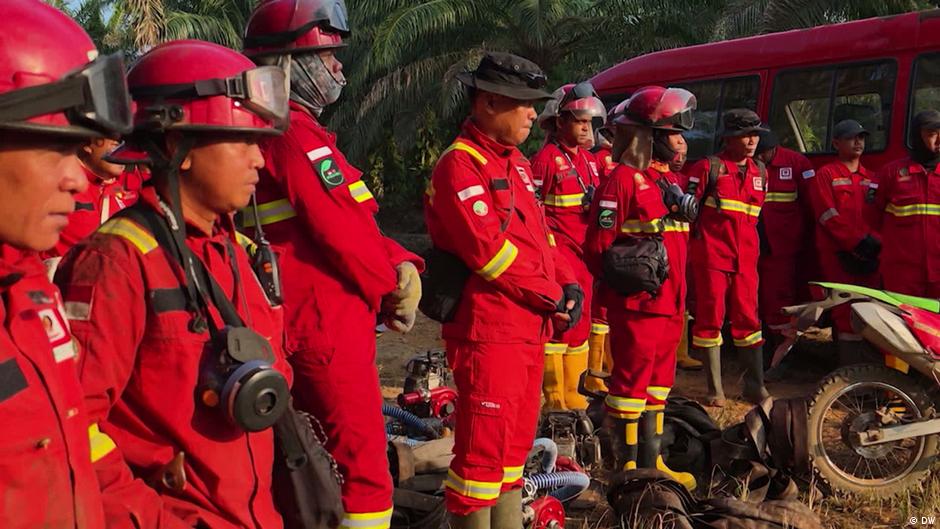 Perjuangan Indonesia melawan pertanian tebang-bakar