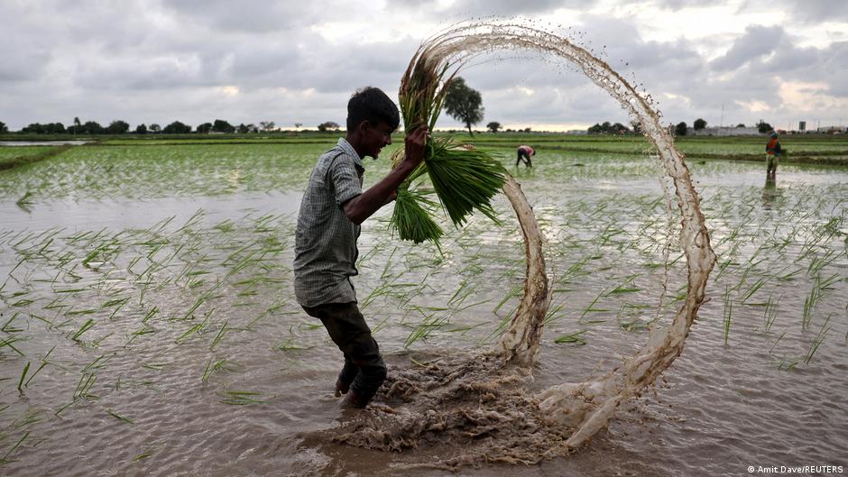 Bagaimana dua perang dan El Niño mempengaruhi kelaparan di seluruh dunia