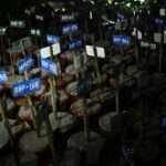 Nepal memulai pemakaman massal setelah bencana banjir