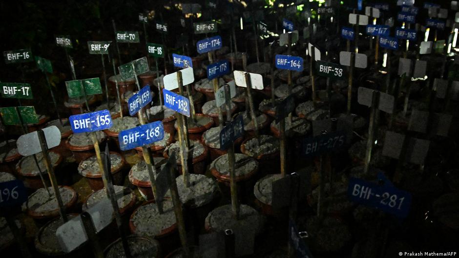 Nepal memulai pemakaman massal setelah bencana banjir