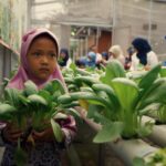 Jakarta: Bagaimana cara memberi makan 42 juta orang setiap hari?