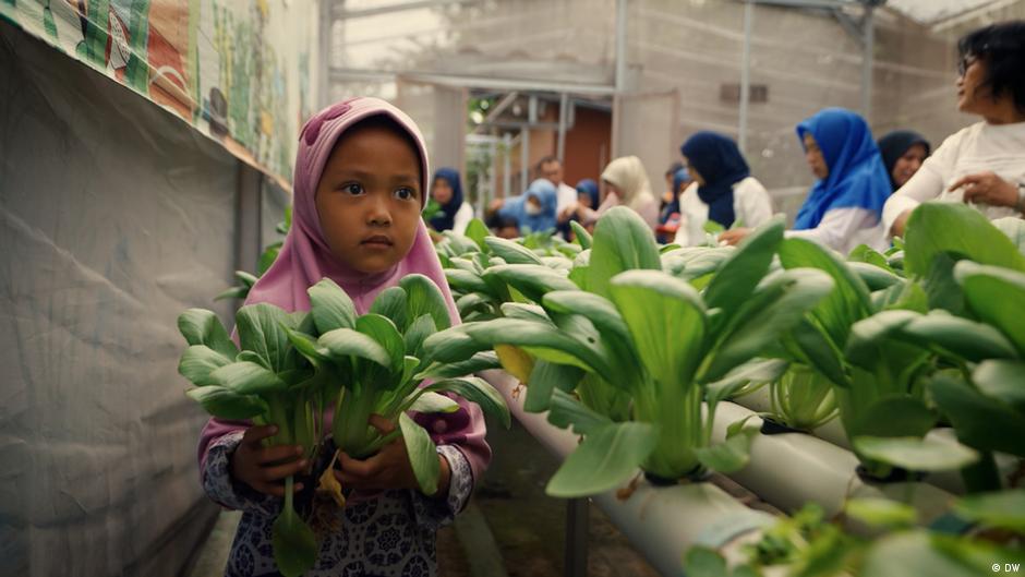 Jakarta: Bagaimana cara memberi makan 42 juta orang setiap hari?